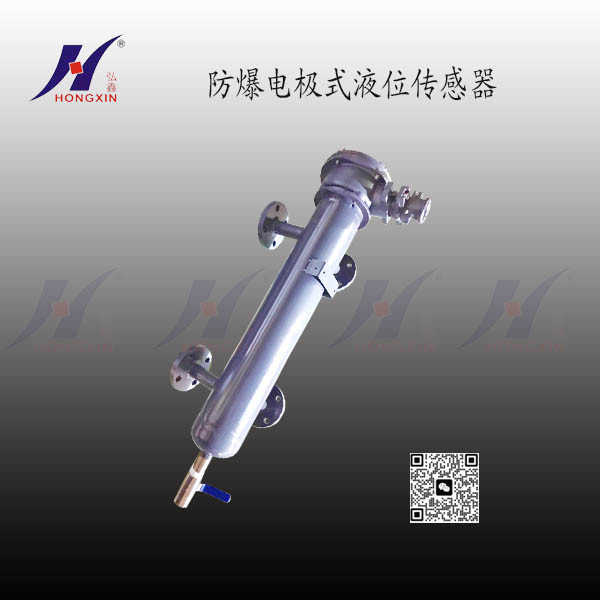 电极式液位传感器